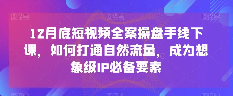 12月底短视频全案操盘手线下课，如何打通自然流量，成为想象级IP必备要素-985网创