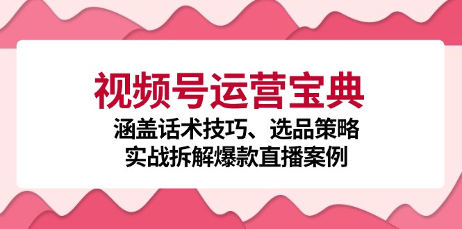 视频号运营宝典：涵盖话术技巧、选品策略、实战拆解爆款直播案例-985网创