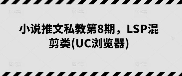 小说推文私教第8期，LSP混剪类(UC浏览器)-985网创