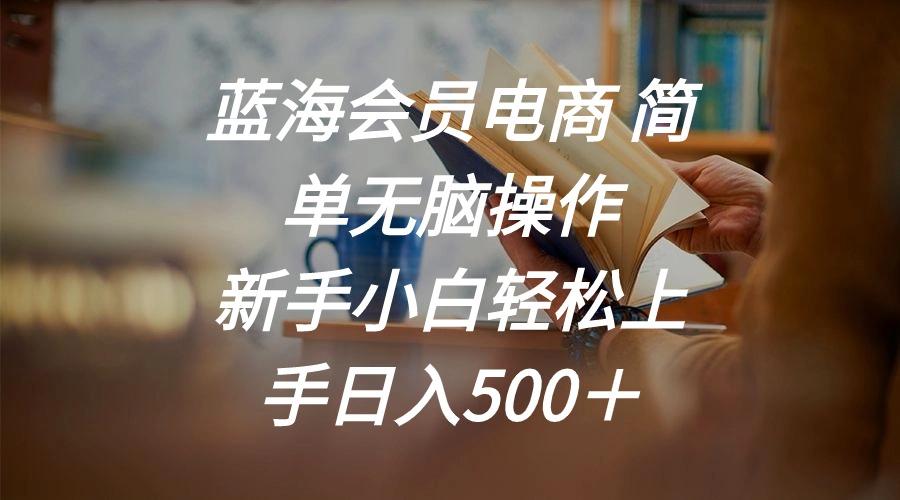 蓝海会员电商 简单无脑操作 新手小白轻松上手日入500＋-985网创