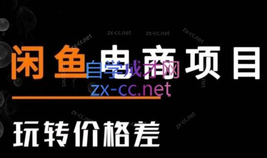 亿创繁星·闲鱼电商项目(玩转价格差)-985网创