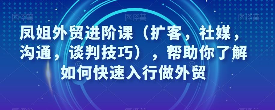 凤姐外贸进阶课（扩客，社媒，沟通，谈判技巧），帮助你了解如何快速入行做外贸-985网创