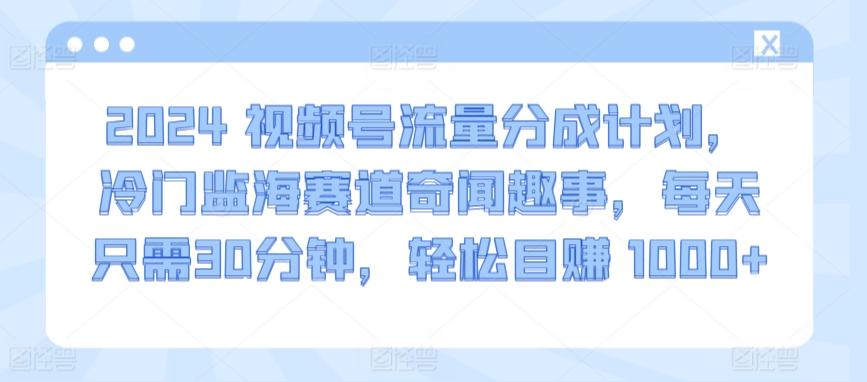 2024视频号流量分成计划，冷门监海赛道奇闻趣事，每天只需30分钟，轻松目赚 1000+【揭秘】-985网创