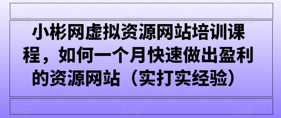 小彬网虚拟资源网站培训课程，如何一个月快速做出盈利的资源网站(实打实经验)-985网创