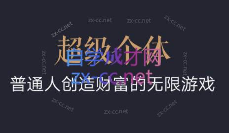 超级个体·普通人创造财富的无限游戏-985网创