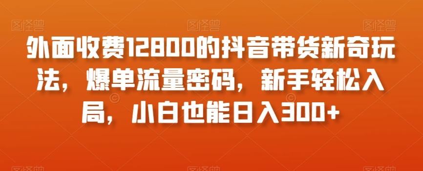 外面收费12800的抖音带货新奇玩法，爆单流量密码，新手轻松入局，小白也能日入300+【揭秘】-985网创