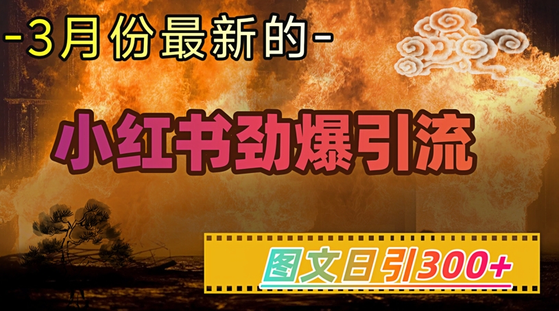 小红书超劲爆引流手段，图文日引300+轻松变现1W-985网创