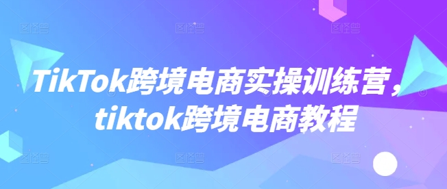 TikTok跨境电商实操训练营，tiktok跨境电商教程-985网创