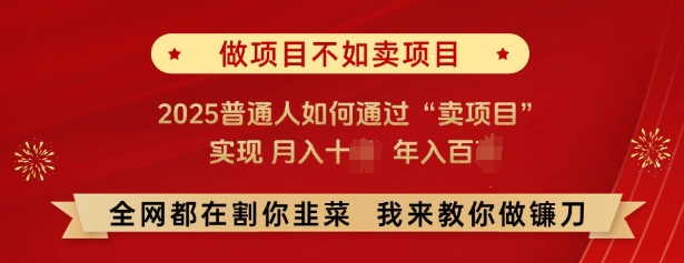 必看，做项目不如卖项目，2025普通人如何通过“卖项目”实现月入十个，年入百个-985网创
