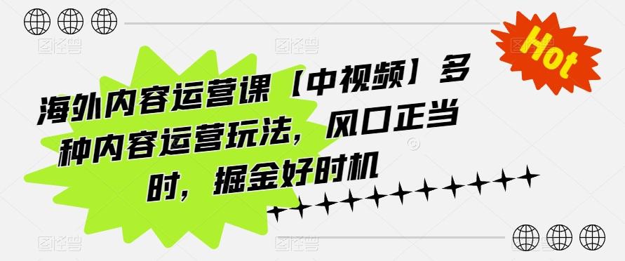 海外内容运营课【中视频】多种内容运营玩法，风口正当时，掘金好时机-985网创