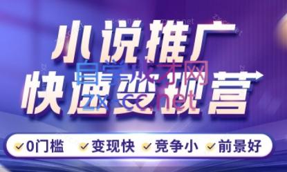 洲洲老师·小说推广快速变现营-985网创