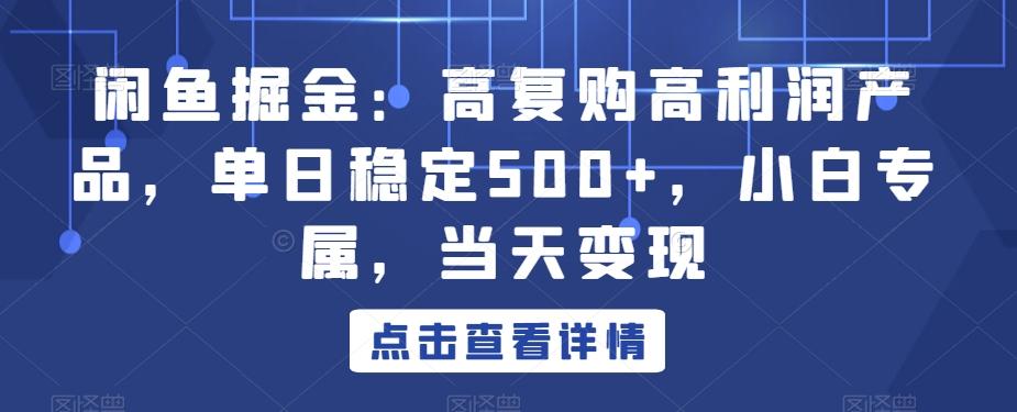 闲鱼掘金：高复购高利润产品，单日稳定500+，小白专属，当天变现-985网创