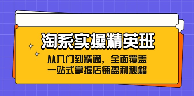淘系实操精英班：从入门到精通，全面覆盖，一站式掌握店铺盈利秘籍-985网创
