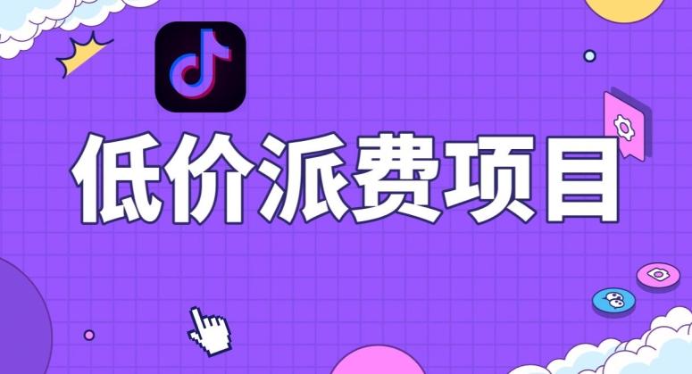 抖音低价派单项目，0门槛，日入1000+很轻松，小白可操作【揭秘】-985网创