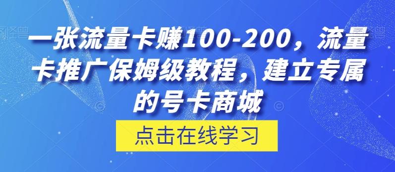 一张流量卡赚100-200，流量卡推广保姆级教程，建立专属的号卡商城-985网创