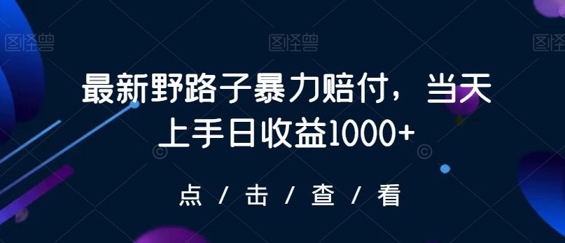 最新野路子暴力赔付，当天上手日收益1000+【仅揭秘】-985网创
