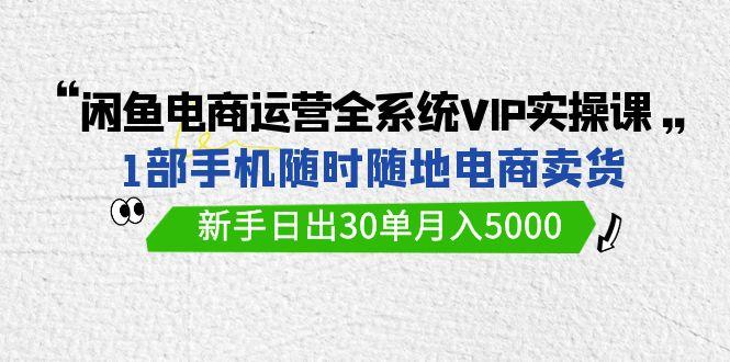 (9547期)闲鱼电商运营全系统VIP实战课，1部手机随时随地卖货，新手日出30单月入5000-985网创