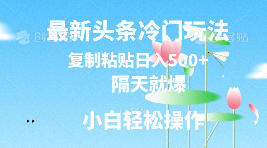 最新头条冷门玩法，隔天就爆，复制粘贴日入500+-985网创