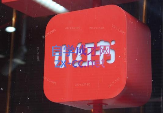 伊伊·红薯【高级班】运营课-985网创