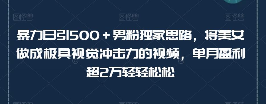 暴力日引500＋男粉独家思路，将美女做成极具视觉冲击力的视频，单月盈利超2万轻轻松松-985网创