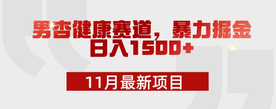 11月最新项目，男杏健康赛道，暴力掘金，日入1500+-985网创