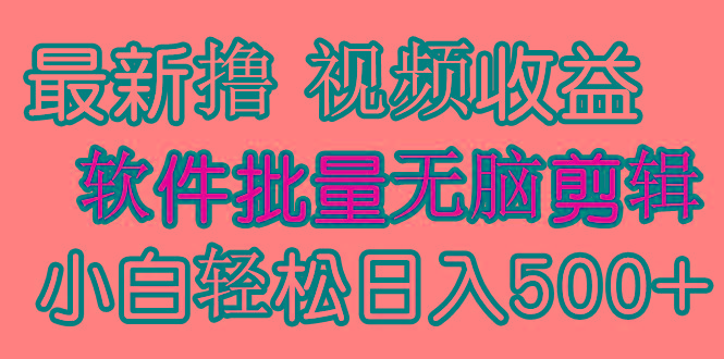 (9569期)发视频撸收益，软件无脑批量剪辑，第一天发第二天就有钱-985网创