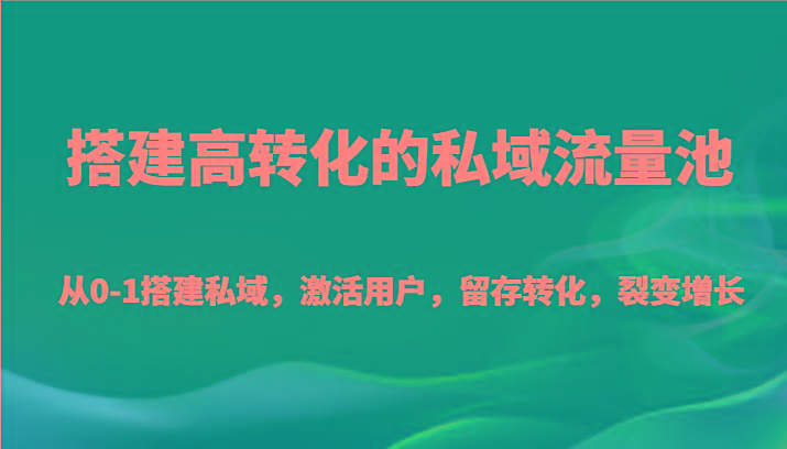 搭建高转化的私域流量池 从0-1搭建私域，激活用户，留存转化，裂变增长(20节课)-985网创
