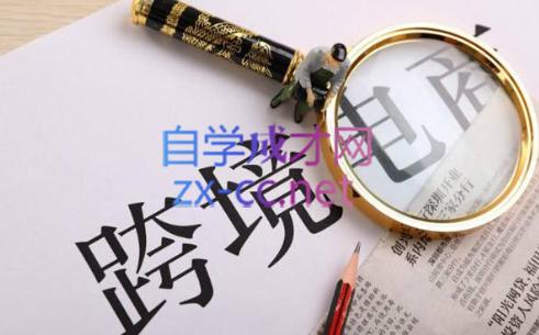 帮课大学VIP会员课程(更新24年3月)-985网创