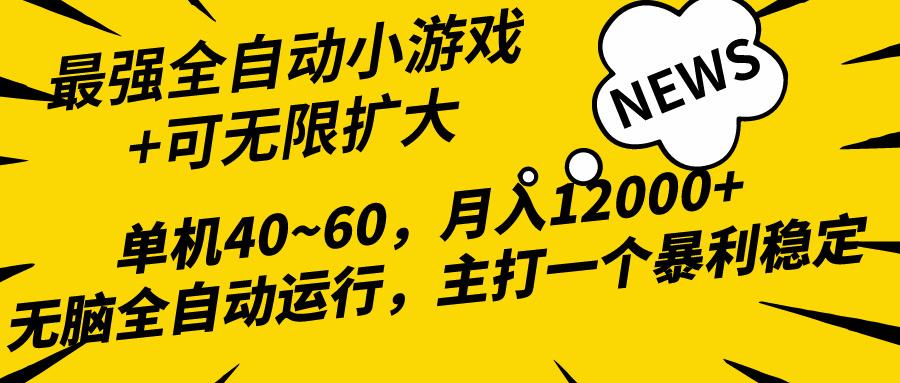 (10046期)2024最新全网独家小游戏全自动，单机40~60,稳定躺赚，小白都能月入过万-985网创