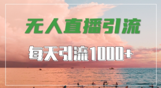 抖音快手视频号全平台通用，无人直播引流法，超暴力引流1000+高质量精准创业粉【揭秘】-985网创
