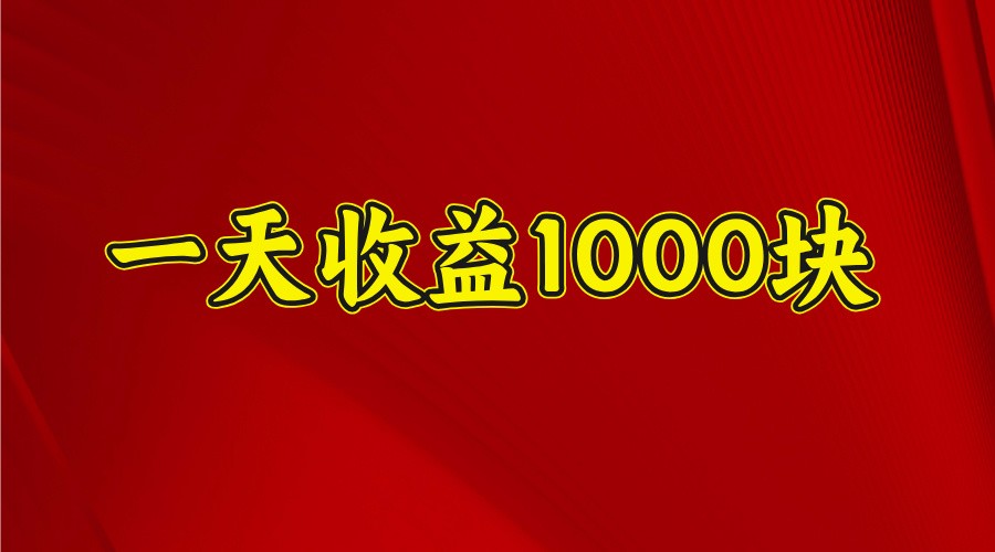 一天收益1000块，2025全网首发-985网创