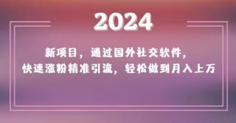 2024新项目，通过国外社交软件，快速涨粉精准引流，轻松做到月入上万【揭秘】-985网创