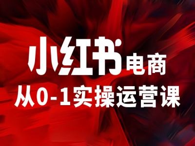 小红书电商从0-1实操运营课，让你从小白到精英-985网创