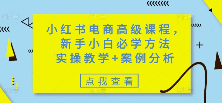 小红书电商高级课程，新手小白必学方法，实操教学+案例分析-985网创
