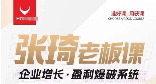 【组合课】张琦张琦老板企业增长·盈利爆破系统（直播专享）-985网创