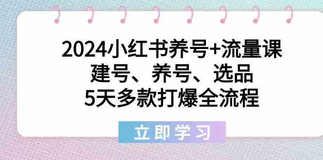 2024小红书养号+流量课：建号、养号、选品，5天多款打爆全流程-985网创
