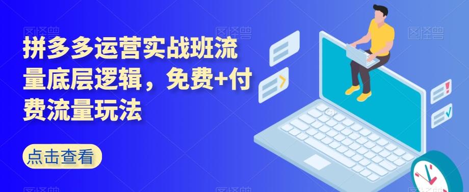 拼多多运营实战班流量底层逻辑，免费+付费流量玩法-985网创