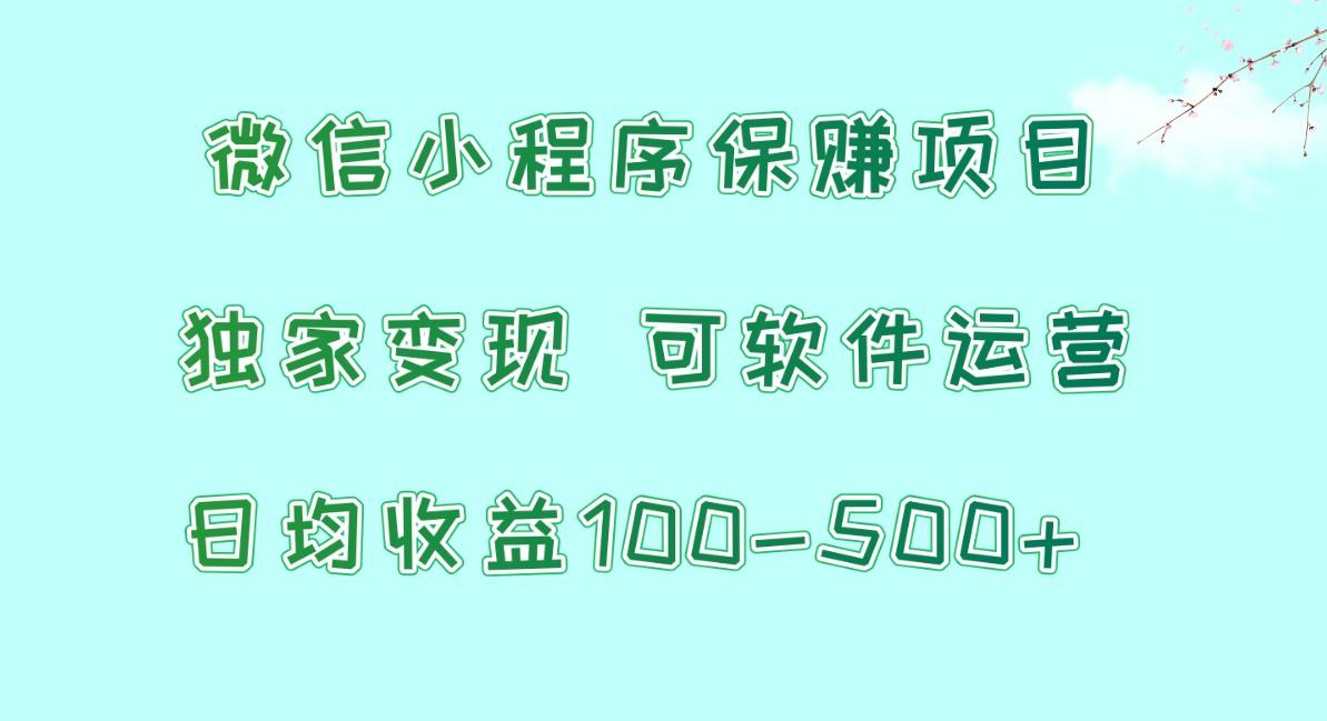 微信小程序保赚项目，日均收益100~500+，独家变现，可软件运营-985网创