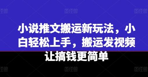 小说推文搬运新玩法，小白轻松上手，搬运发视频让搞钱更简单-985网创
