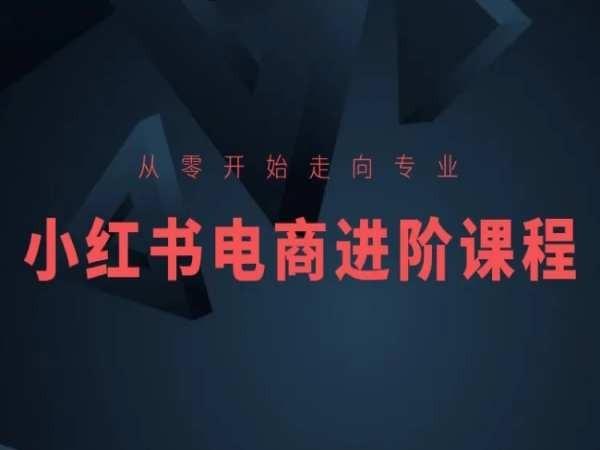 从零开始走向专业，小红书电商进阶课程-985网创