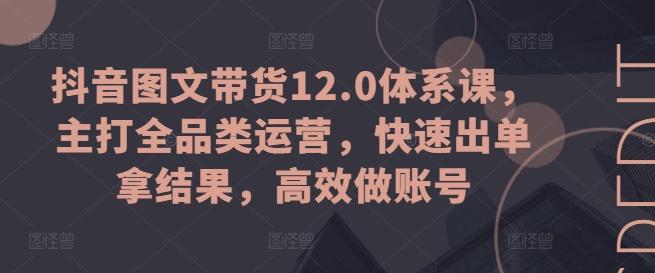 抖音图文带货12.0体系课，主打全品类运营，快速出单拿结果，高效做账号-985网创