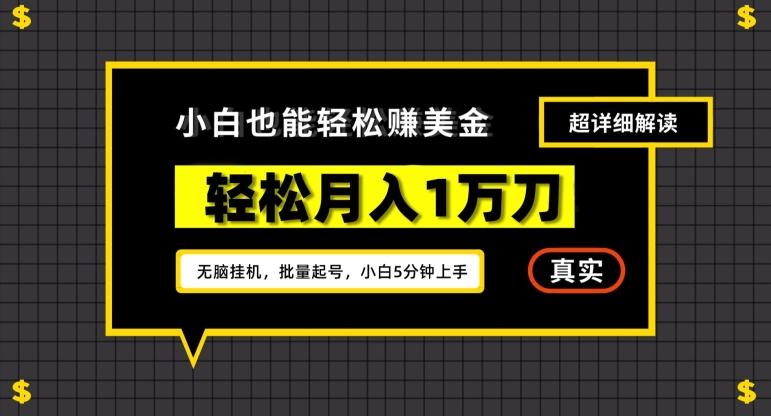 谷歌看广告撸美金2.0，无脑挂机，多号操作，月入1万刀【揭秘】-985网创