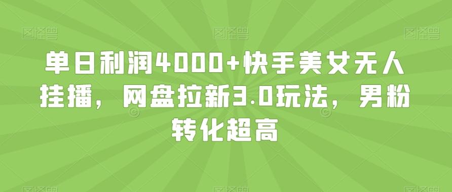 单日利润4000+快手美女无人挂播，网盘拉新3.0玩法，男粉转化超高【揭秘】-985网创