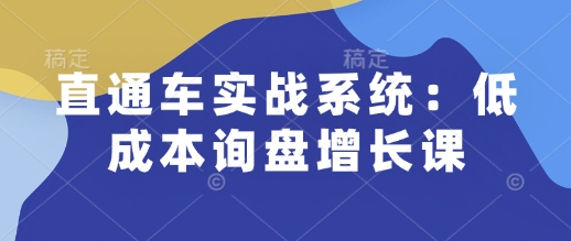 直通车实战系统：低成本询盘增长课，让个人通过技能实现升职加薪，让企业低成本获客，订单源源不断-985网创