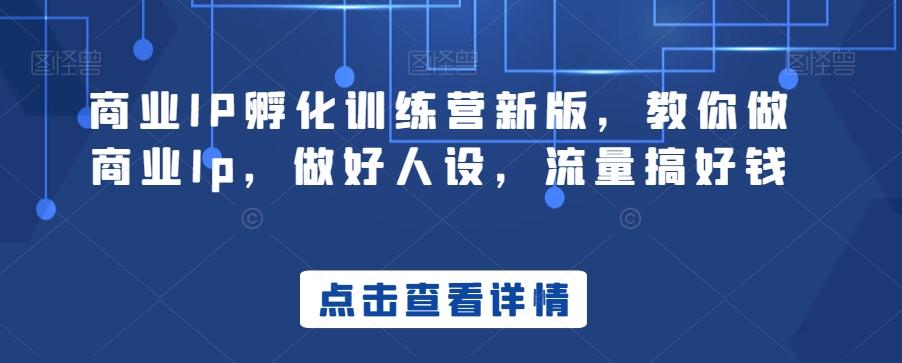 商业IP孵化训练营新版，教你做商业Ip，做好人设，流量搞好钱-985网创