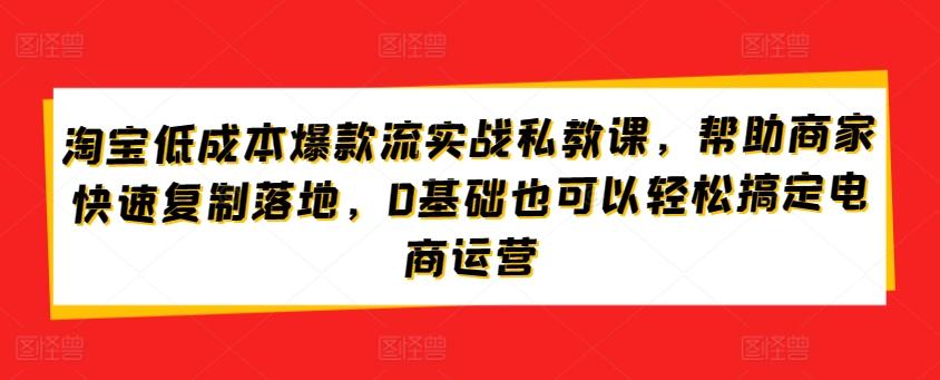 淘宝低成本爆款流实战私教课，帮助商家快速复制落地，0基础也可以轻松搞定电商运营-985网创