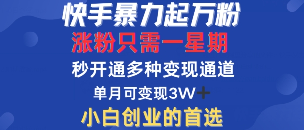 快手暴力起万粉，涨粉只需一星期，多种变现模式，直接秒开万合，单月变现过W【揭秘】-985网创