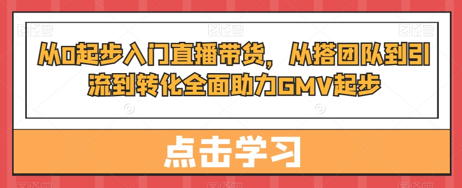 从0起步入门直播带货，​从搭团队到引流到转化全面助力GMV起步-985网创