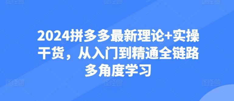 2024拼多多最新理论+实操干货，从入门到精通全链路多角度学习-985网创