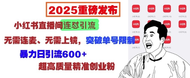 2025重磅发布：小红书直播间连怼引流，无需连麦、无需上镜，突破单号限制，暴力日引流600+-985网创